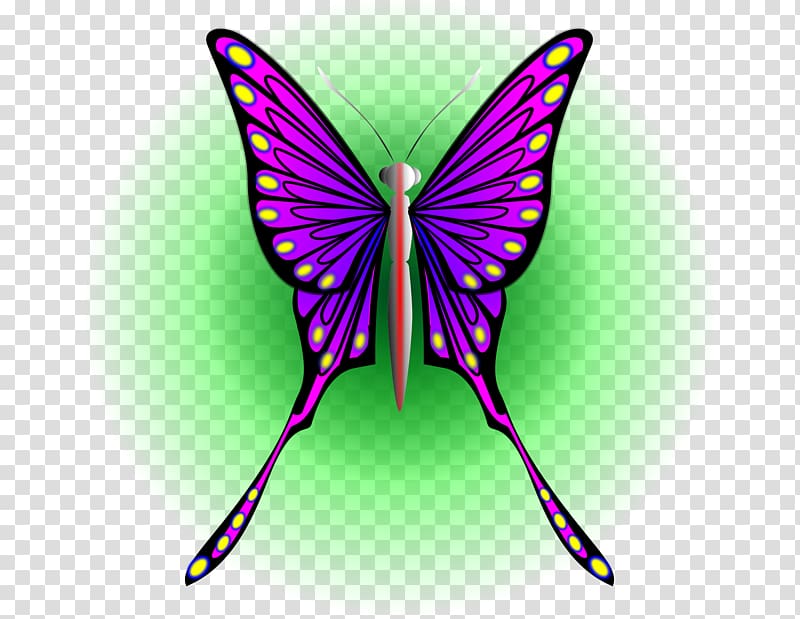 Butterfly Insect Moth , purple butterfly transparent background PNG clipart