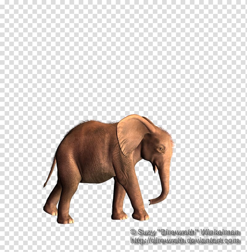 African elephant Asian elephant Tusk, Share transparent background PNG clipart