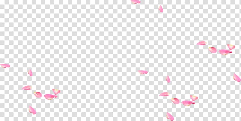 Petal Pattern, Beautiful petals falling transparent background PNG clipart