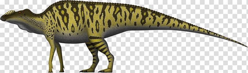 Tyrannosaurus Allosaurus Hadrosaurus Edmontosaurus annectens Mosasaurus, dinosaur transparent background PNG clipart