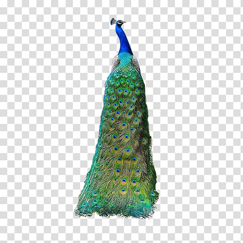 Bird Peafowl, Green peacock transparent background PNG clipart
