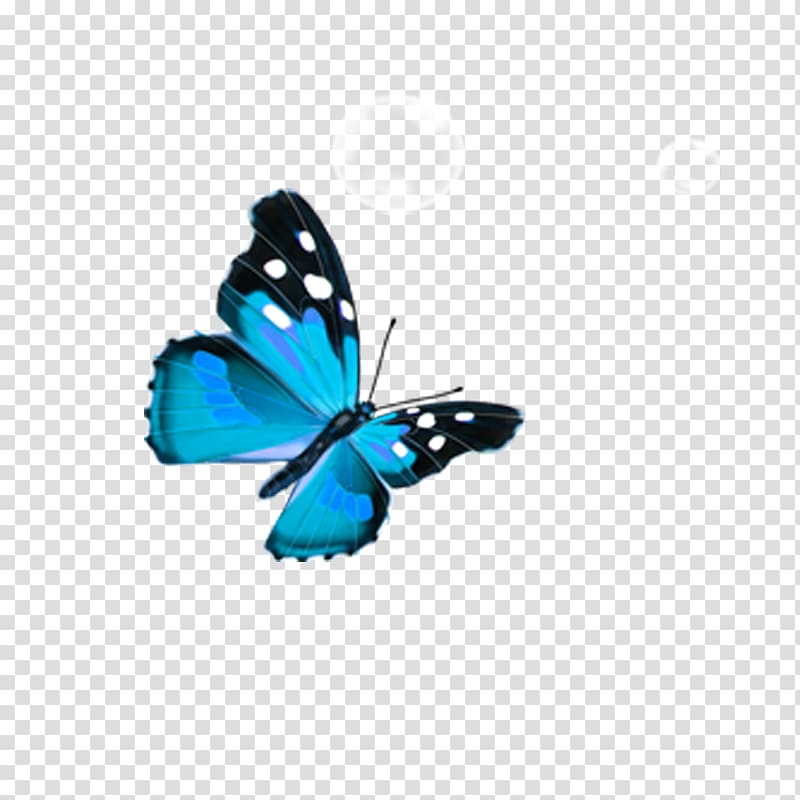 Butterfly Blue, butterfly transparent background PNG clipart