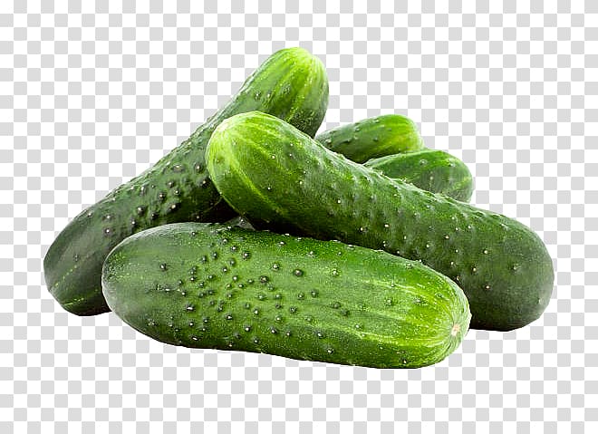 Pickled cucumber Vegetable Fruit Salad, cucumber transparent background PNG clipart
