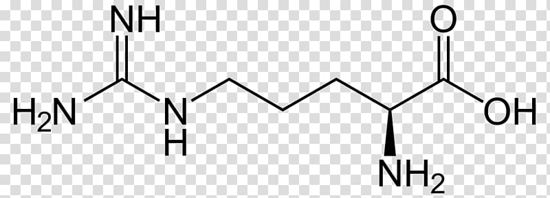 Arginine Citrulline Amino acid Structure, Arginine Alphaketoglutarate transparent background PNG clipart