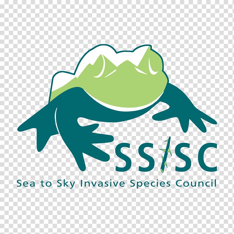 Invasive species Council American bullfrog Alice Lake Provincial Park Red-eared slider, frog design logo transparent background PNG clipart