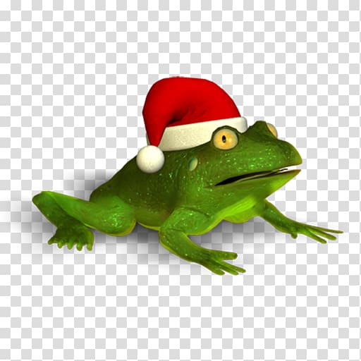 True frog Tree frog Christmas Trachycephalus, frog transparent background PNG clipart