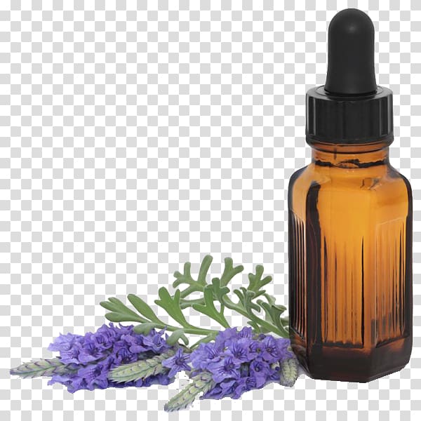 Essential oil Aromatherapy Lavender oil, oil transparent background PNG clipart