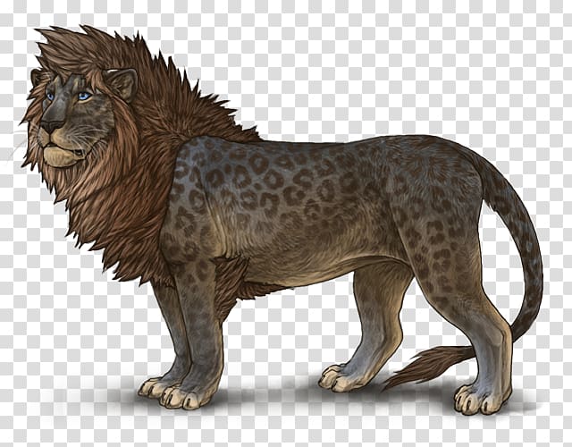 Lion Leopon Animal Big cat, mottled transparent background PNG clipart