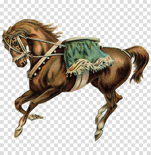 Horse Stallion Carousel Circus , horse transparent background PNG clipart