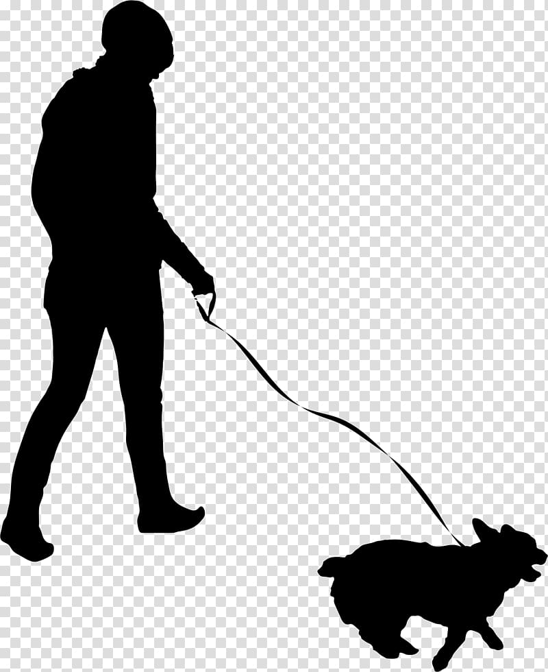 Pet sitting Dog walking Flyer, walk transparent background PNG clipart