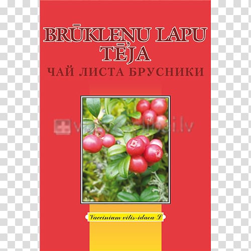 Herb Tea Leaf Root Medicinal plants, tea transparent background PNG clipart