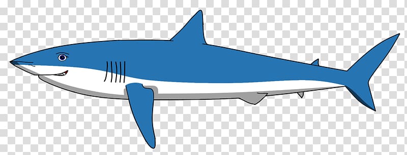 Tiger shark Requiem sharks Marine biology, shark transparent background PNG clipart