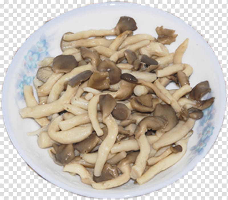 Oyster Mushroom Pleurotus eryngii Vegetarian cuisine Shimeji, Ji boiled mushrooms transparent background PNG clipart