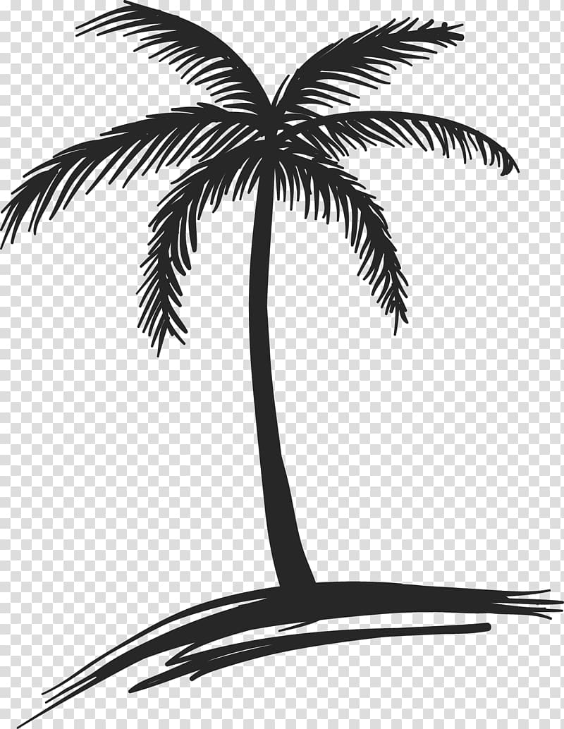 black palm tree illustration, Ko Pha-ngan Port Aransas Hotel Beach Resort, Coconut Tree Drawing transparent background PNG clipart