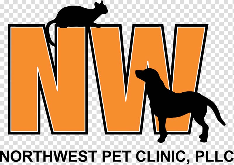 Cat Northwest Pet Clinic, PLLC Northwest Pet Clinic Pllc: Dog, Cat transparent background PNG clipart