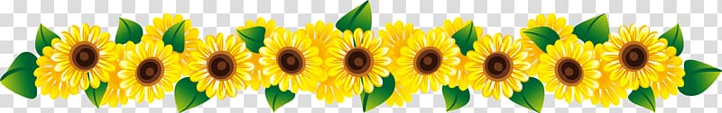 sunflower illustration, Common sunflower , Sunflower header separator line transparent background PNG clipart