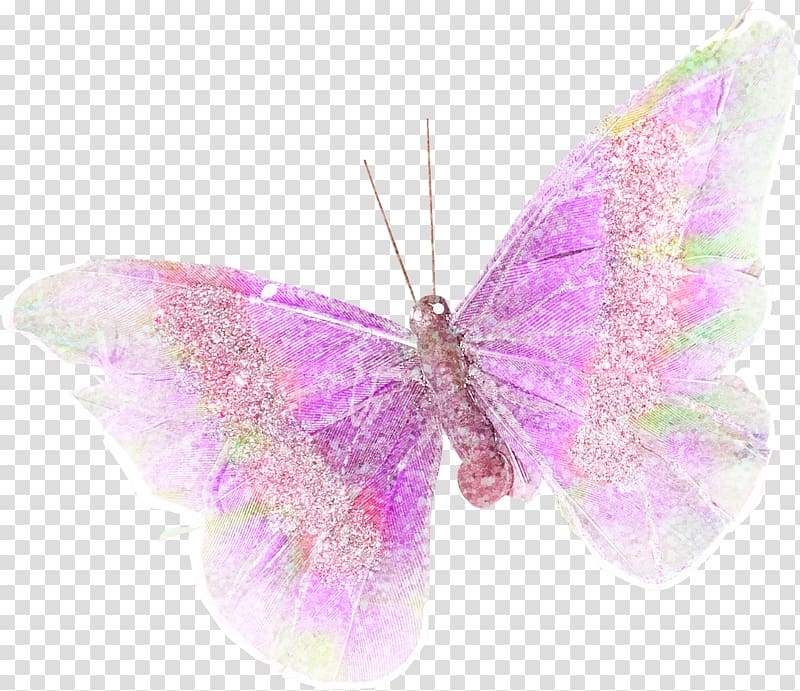 Butterfly Purple Lilac, Lavender Butterfly transparent background PNG clipart