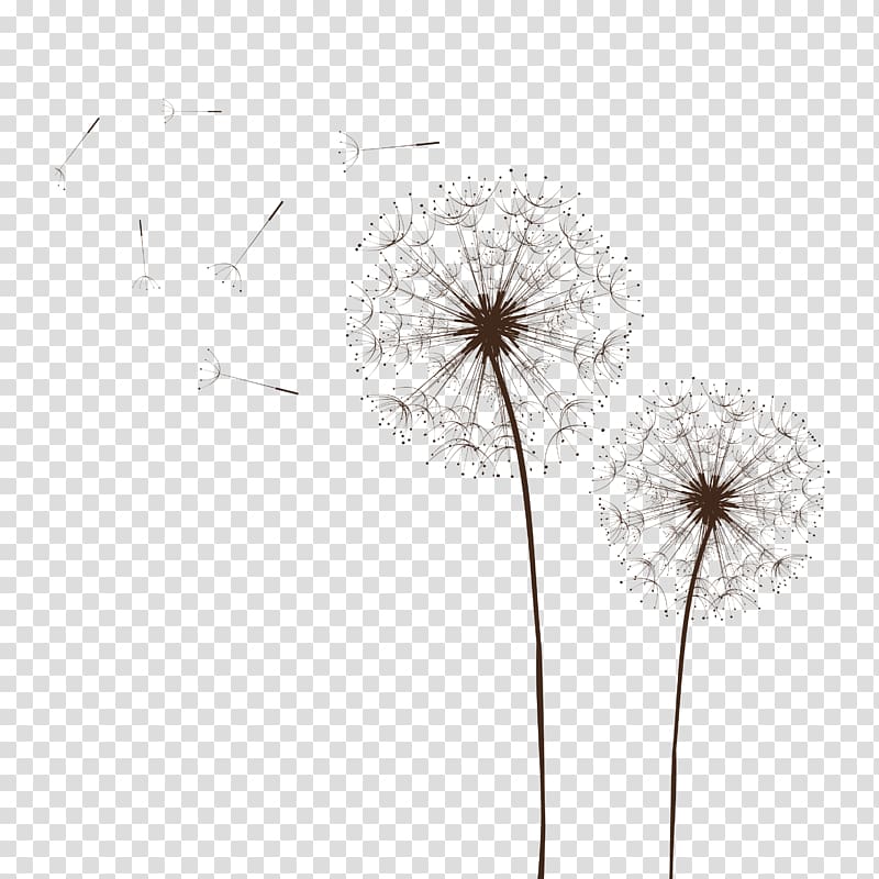 withered dandelions, Common Dandelion Euclidean Featurepics, Dandelion material transparent background PNG clipart