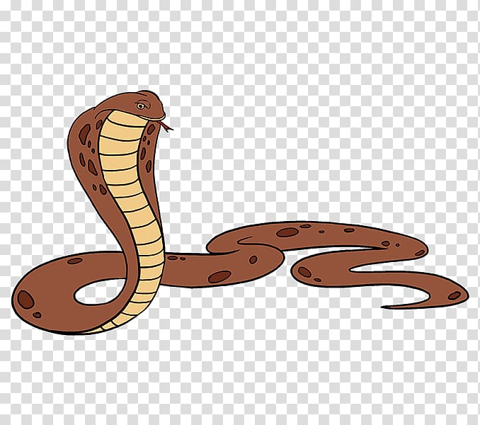 Snake Drawing King cobra, snake transparent background PNG clipart
