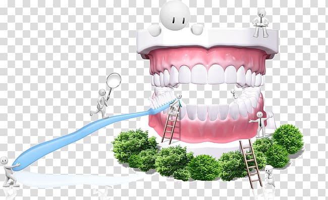 Dentistry Tooth Oral hygiene Gums, Cleaning dental health transparent background PNG clipart