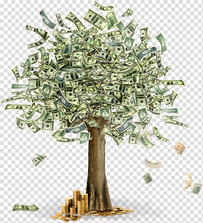 Money Coin Finance , Money Trees transparent background PNG clipart