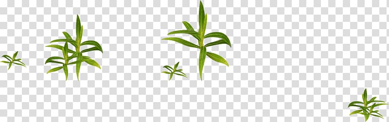 Grass Gratis, Grass transparent background PNG clipart