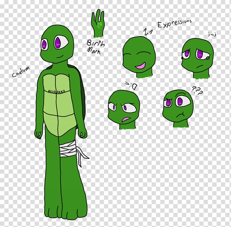 Raphael Venus Teenage Mutant Ninja Turtles Drawing, little turtle transparent background PNG clipart