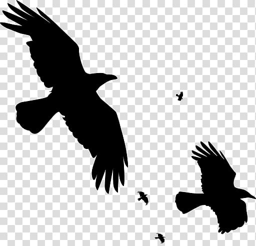 Featured image of post Flying Crow Line Art Isolated sketch of a bird