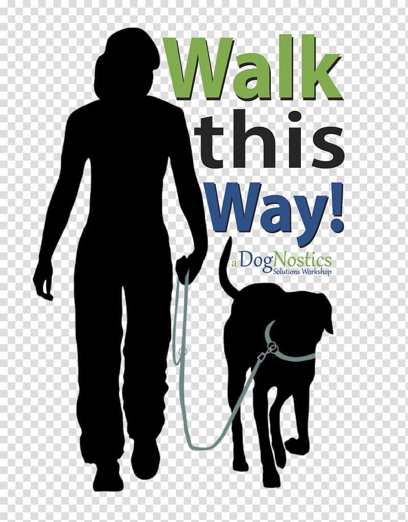 Bernese Mountain Dog Loose Leashes Dog training Dog walking, Highland Canine Training Tampa Clearwater transparent background PNG clipart