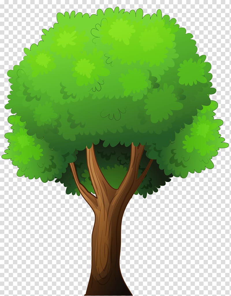 green tree art, Tree Hackus , Tree transparent background PNG clipart