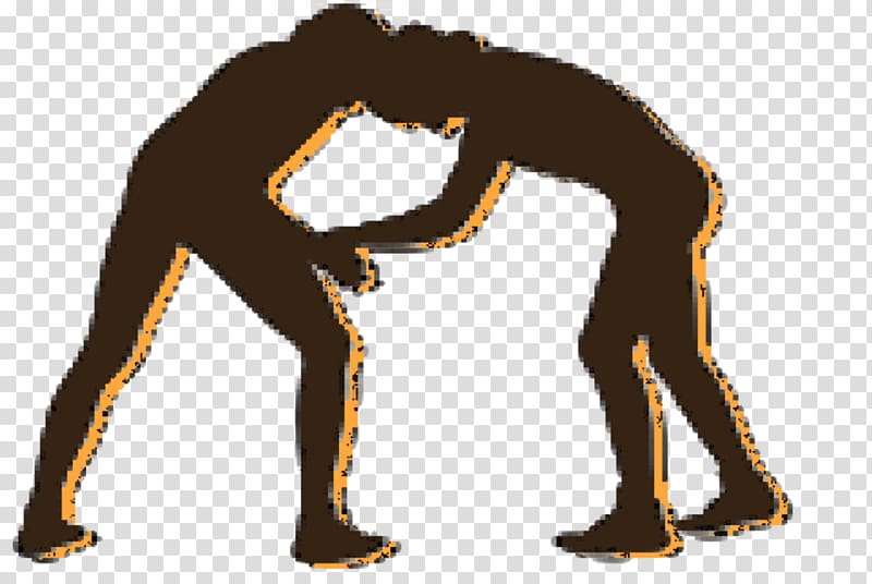 Freestyle wrestling Greco-Roman wrestling Sport , wrestling transparent background PNG clipart