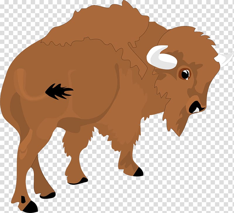 Bison bonasus American bison , bison transparent background PNG clipart
