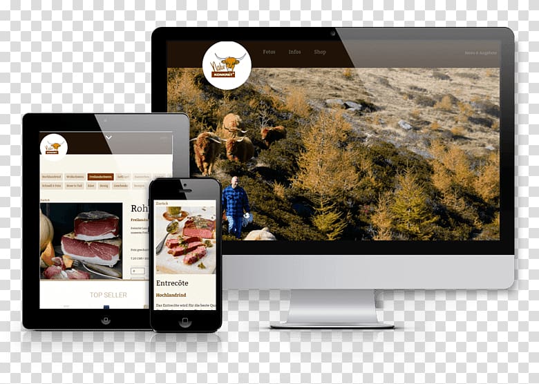 Digital agency Referenzen Internet Responsive web design, Zen And The Successful Horseplayer transparent background PNG clipart