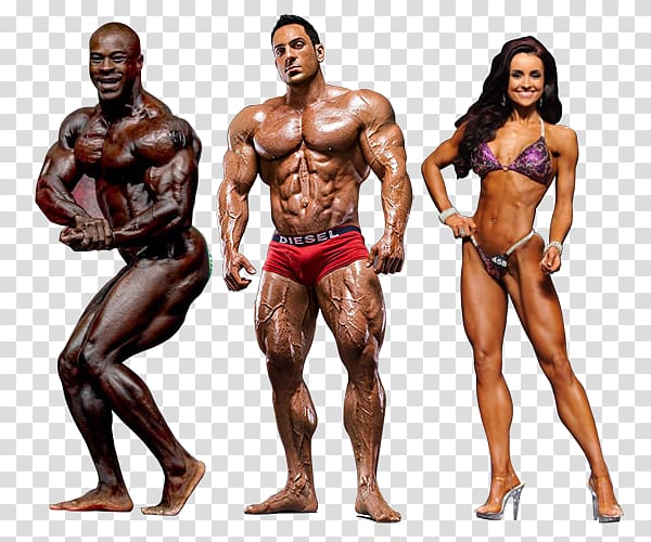 Fitness and figure competition Female bodybuilding Muscle Human body, bodybuilding transparent background PNG clipart