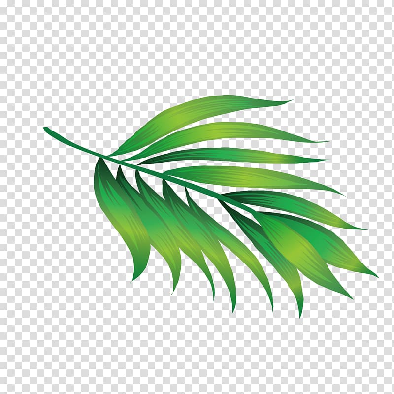 green leaf illustration, Hawaii Icon, Hawaii leaves transparent background PNG clipart