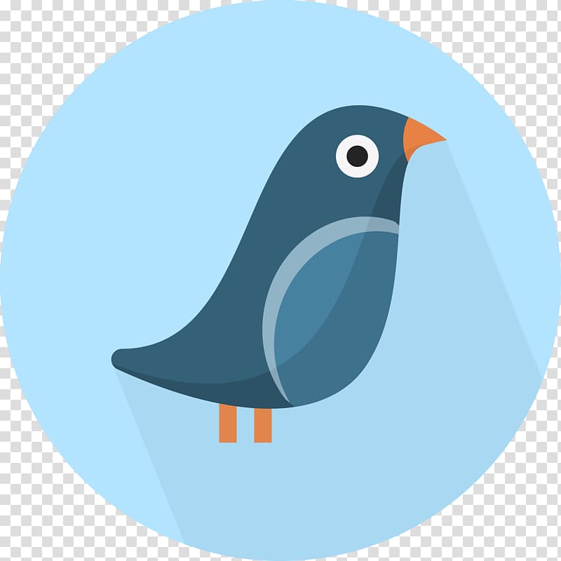 Bird Computer Icons, turkey bird transparent background PNG clipart