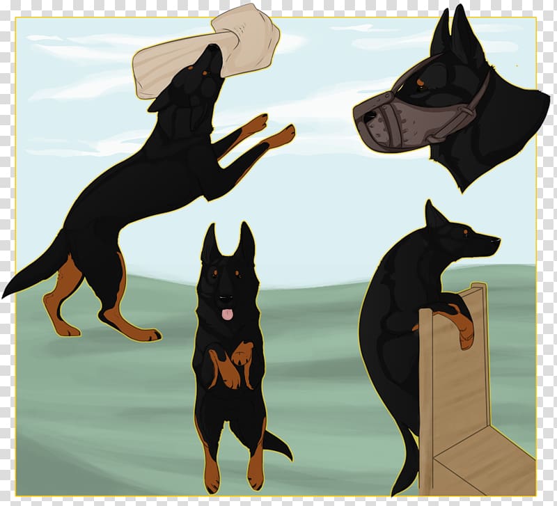 Australian Kelpie Cat Dog breed Razas nativas vulnerables, Cat transparent background PNG clipart