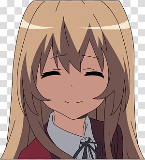 Toradora, Anime, And Taiga Image - Taiga Aisaka, HD Png Download - vhv