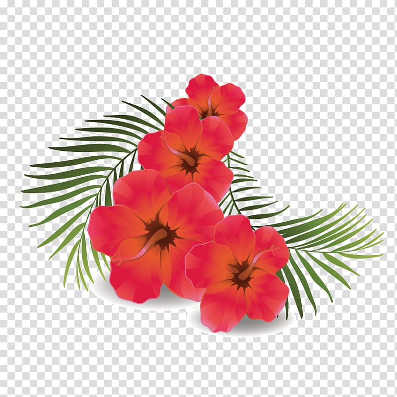 pink flowers with leaves, Shoeblackplant Euclidean Icon, green leaves Hibiscus transparent background PNG clipart