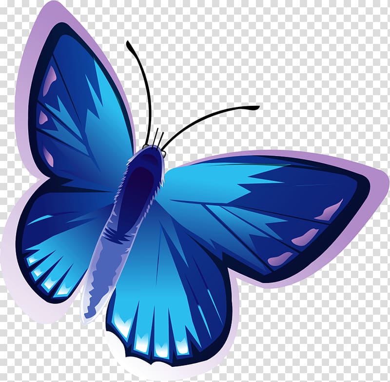 Butterfly Albom , fly transparent background PNG clipart