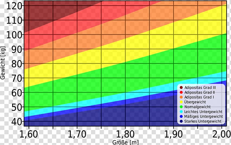 Body mass index Human body weight Body adiposity index Body fat percentage Underweight, others transparent background PNG clipart