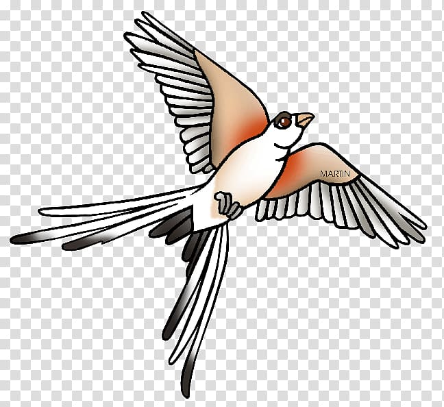 Oklahoma Scissor-tailed flycatcher Free content , Oklahoma State transparent background PNG clipart