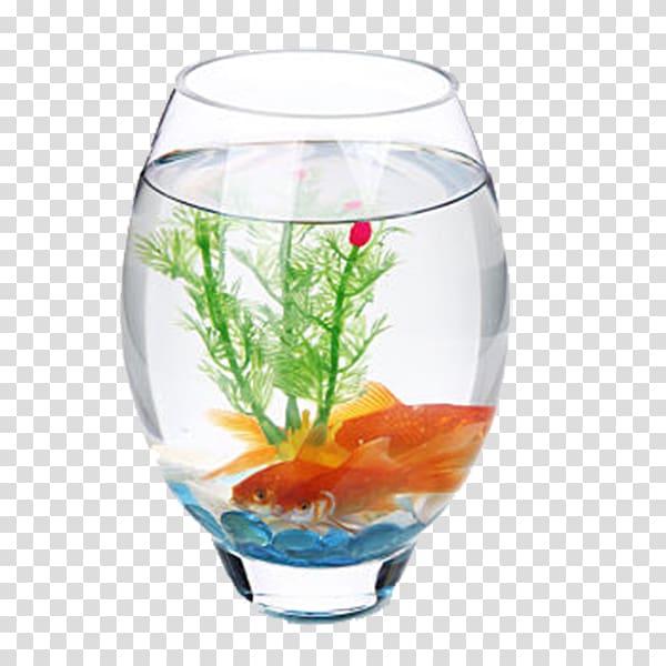 Aquarium Glass Fish Decorative arts, Decorative patterns in plants and fish long fish tank transparent background PNG clipart