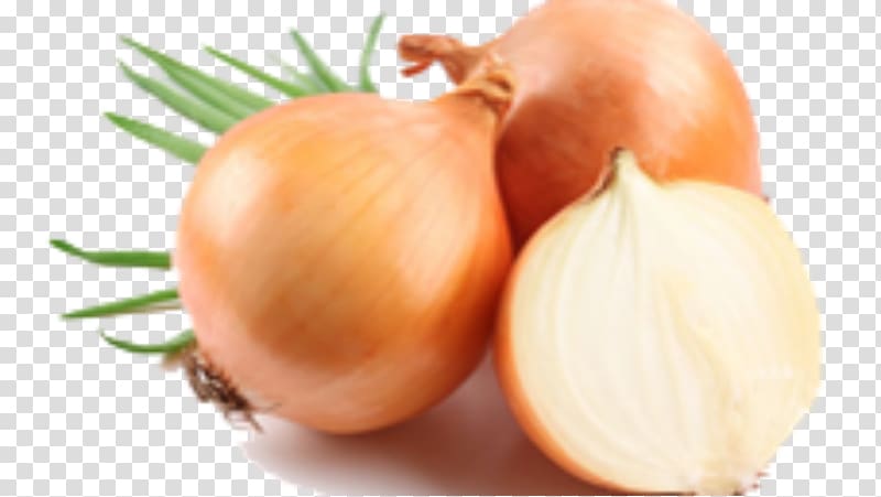 Onion Organic food Health Vegetable, honey transparent background PNG clipart