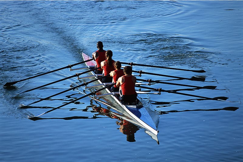 rowing team clip art