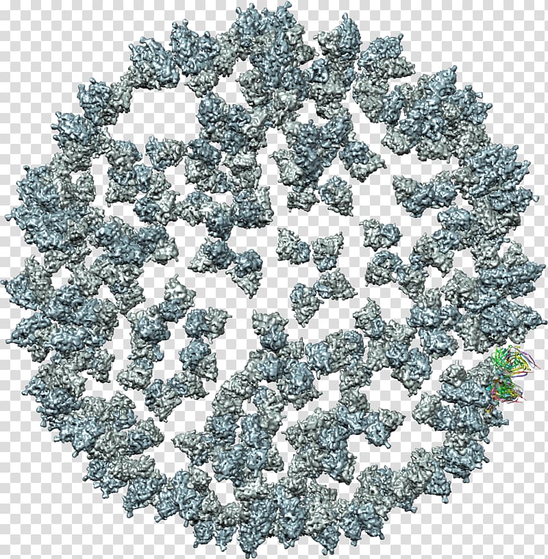 Tree, tobacco mosaic virus transparent background PNG clipart