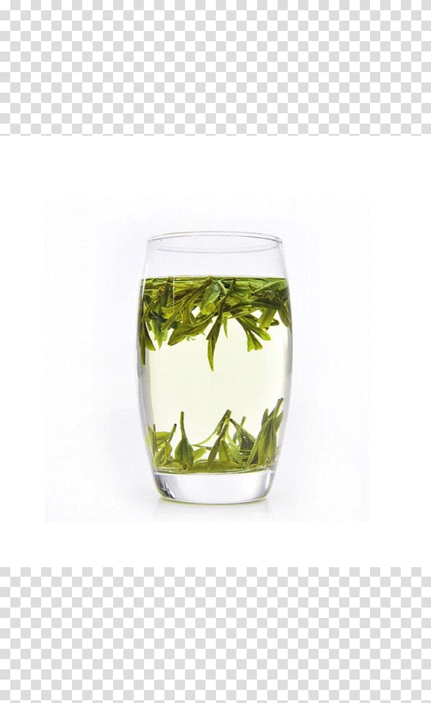 Green tea Huangshan Maofeng Highball glass, tea transparent background PNG clipart