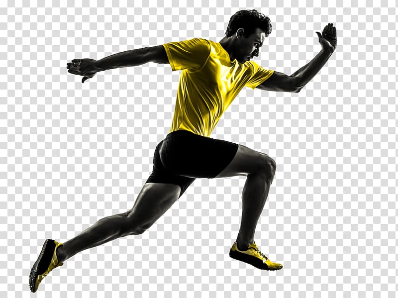 Sports medicine Physical therapy Athlete Podiatry, others transparent background PNG clipart