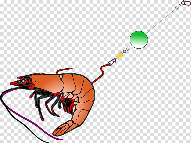 Fishing bait Fish hook Fishing tackle , shrimps transparent background PNG clipart