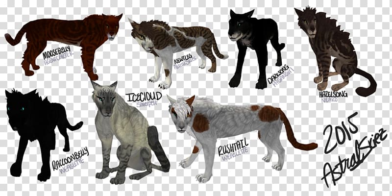 Feral cat Australian Mist Mustang Warriors, mustang transparent background PNG clipart